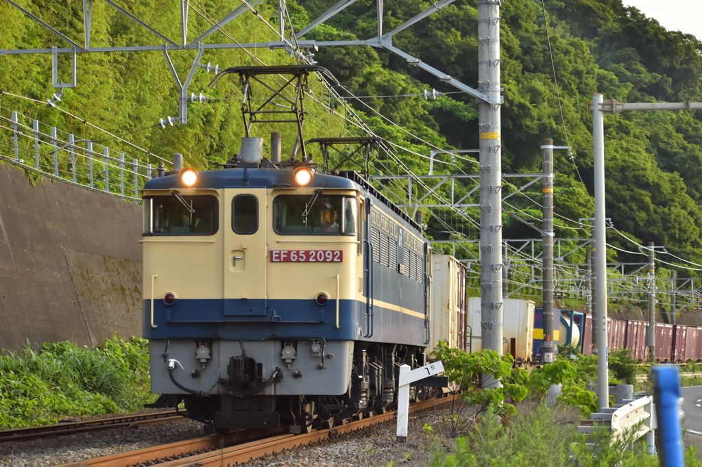 早朝の65RUN