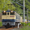 早朝の65RUN