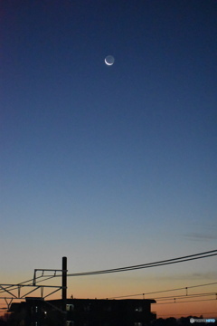 Morning moon