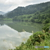 TADAMI-LINE