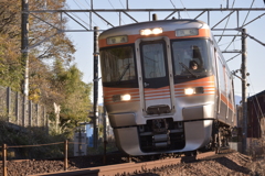 風格ある普通列車