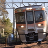 風格ある普通列車