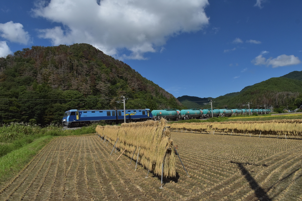 篠ノ井線の秋入り