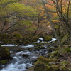 滝ノ湯川紅葉