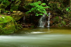 小滝と渓流