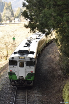 TADAMI LINE