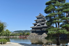 松と松本城