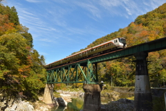 飛騨紅葉を行くひだ号