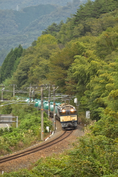 残緑と古豪機関車