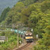 残緑と古豪機関車