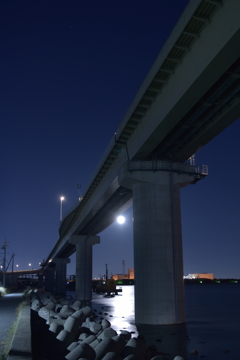 月夜のポートライン