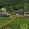 山岡の田んぼアート