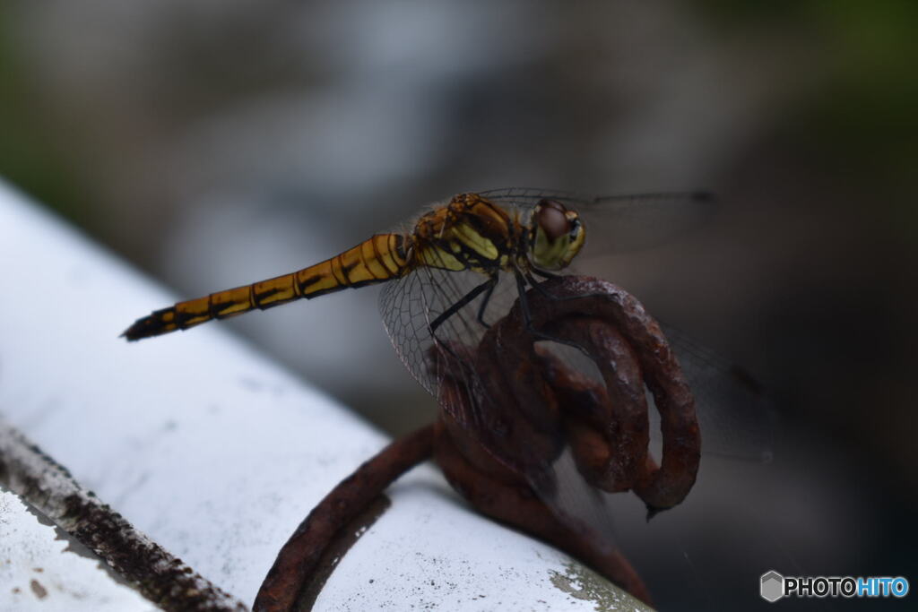 ねぇねぇ、何してるの～？
