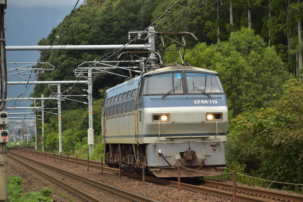 手ぶらの帰路