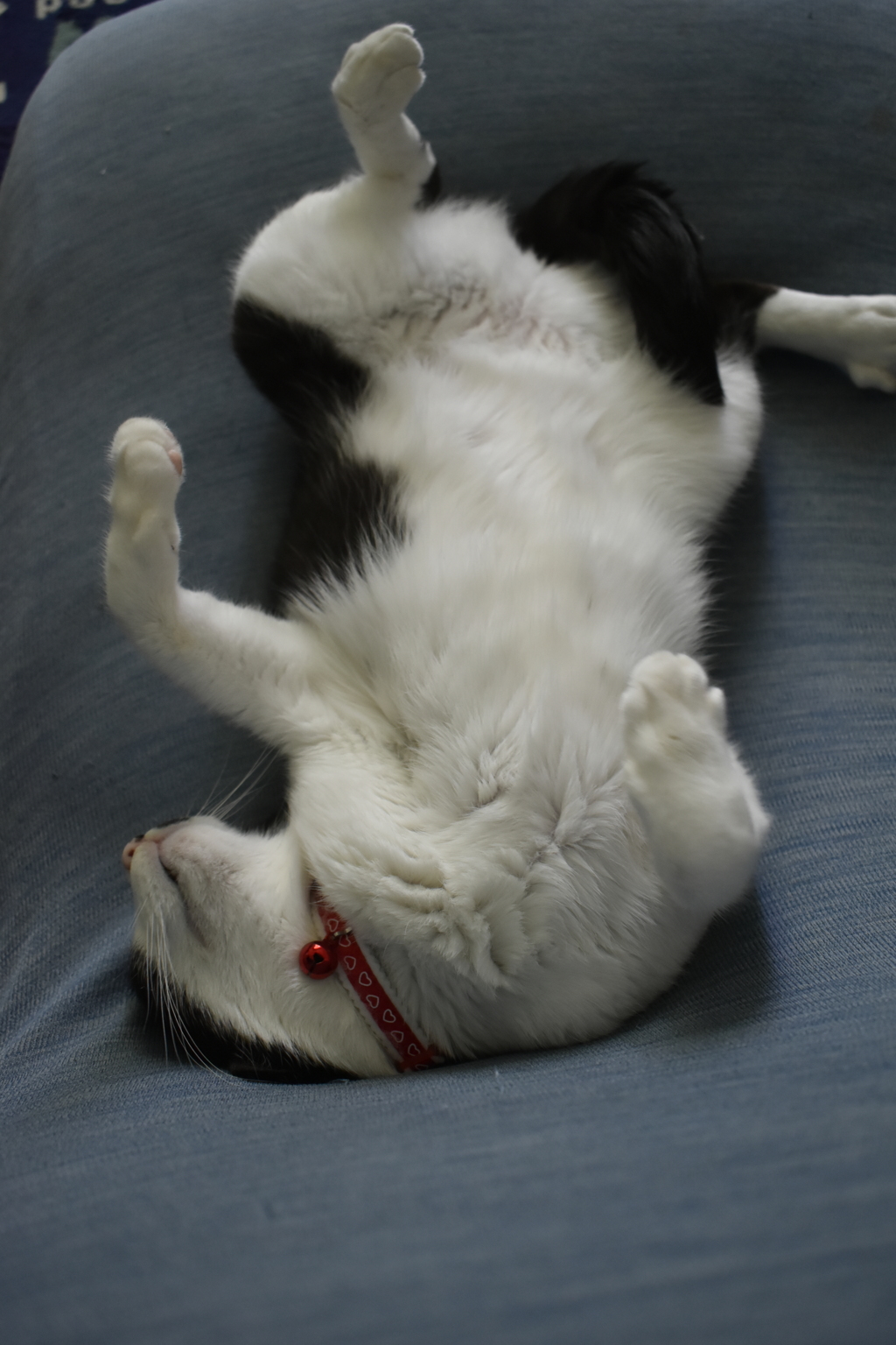 Zzz...
