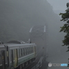 TADAMI-LINE