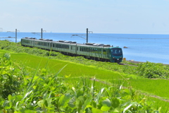 海鉄撮り巡り