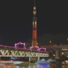 隅田公園より