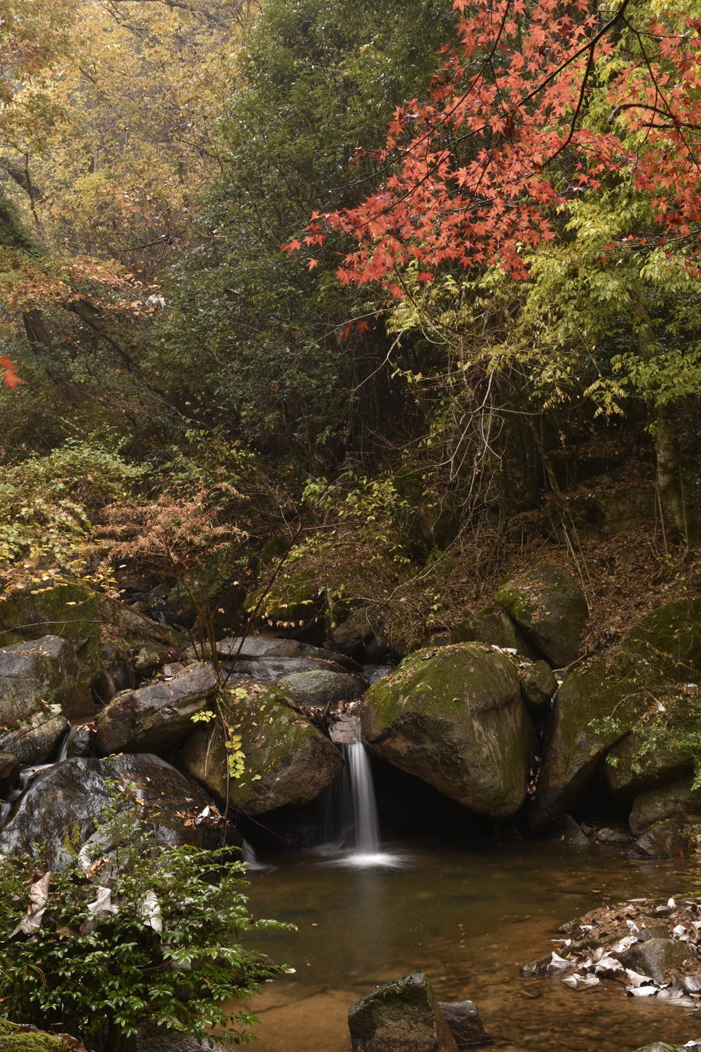 南信東濃滝巡り⑨