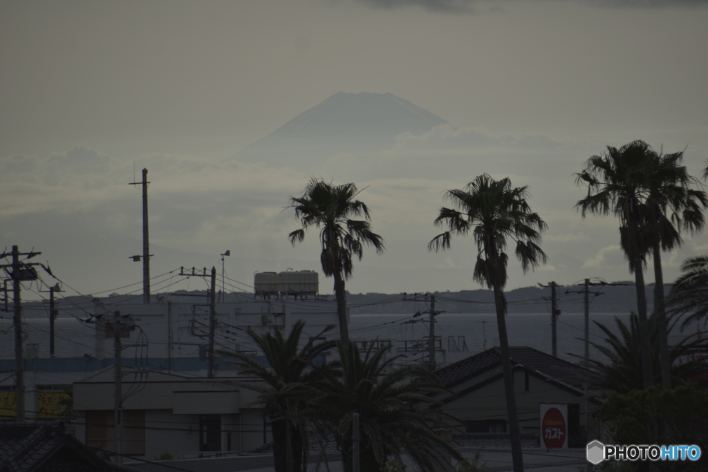 金谷からの富士