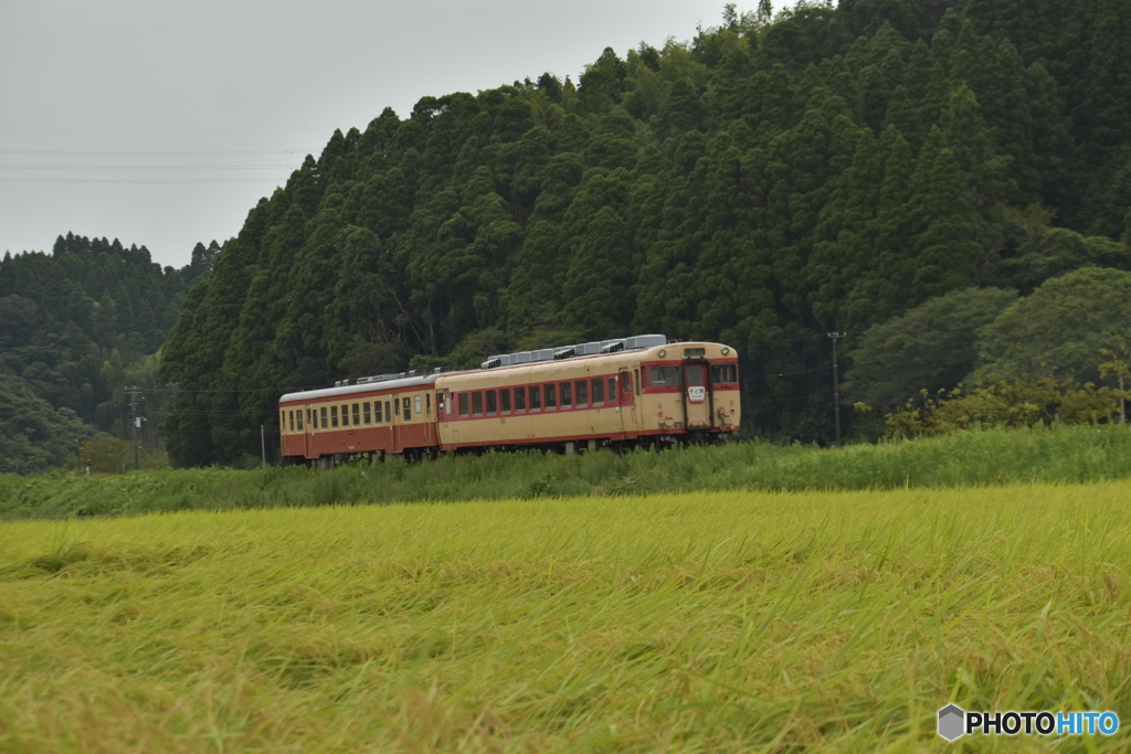 田園とレトロ車輛