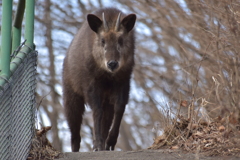 ぬぬ、人がいる！