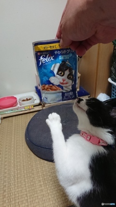 早くよこせってば♯