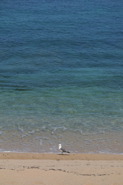 海はいいよなぁ〜♪