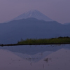 棚田の夜明け前