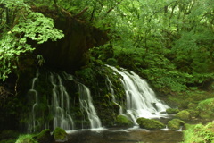 雨の鳥海巡り