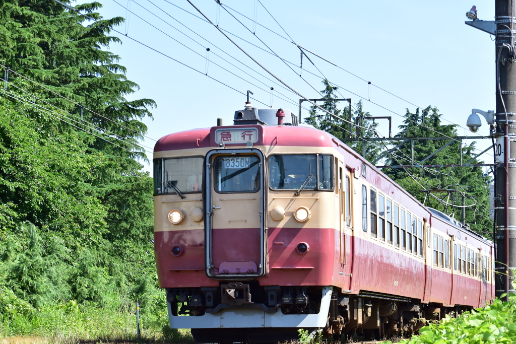 急行の表記のレトロ快速