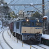 列車が､､､来ました！