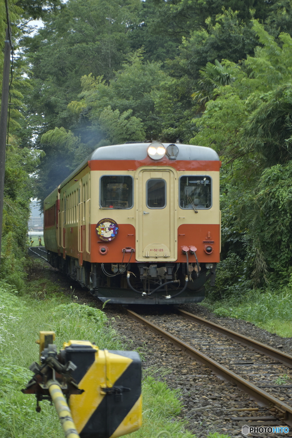 トンネル林を抜けて