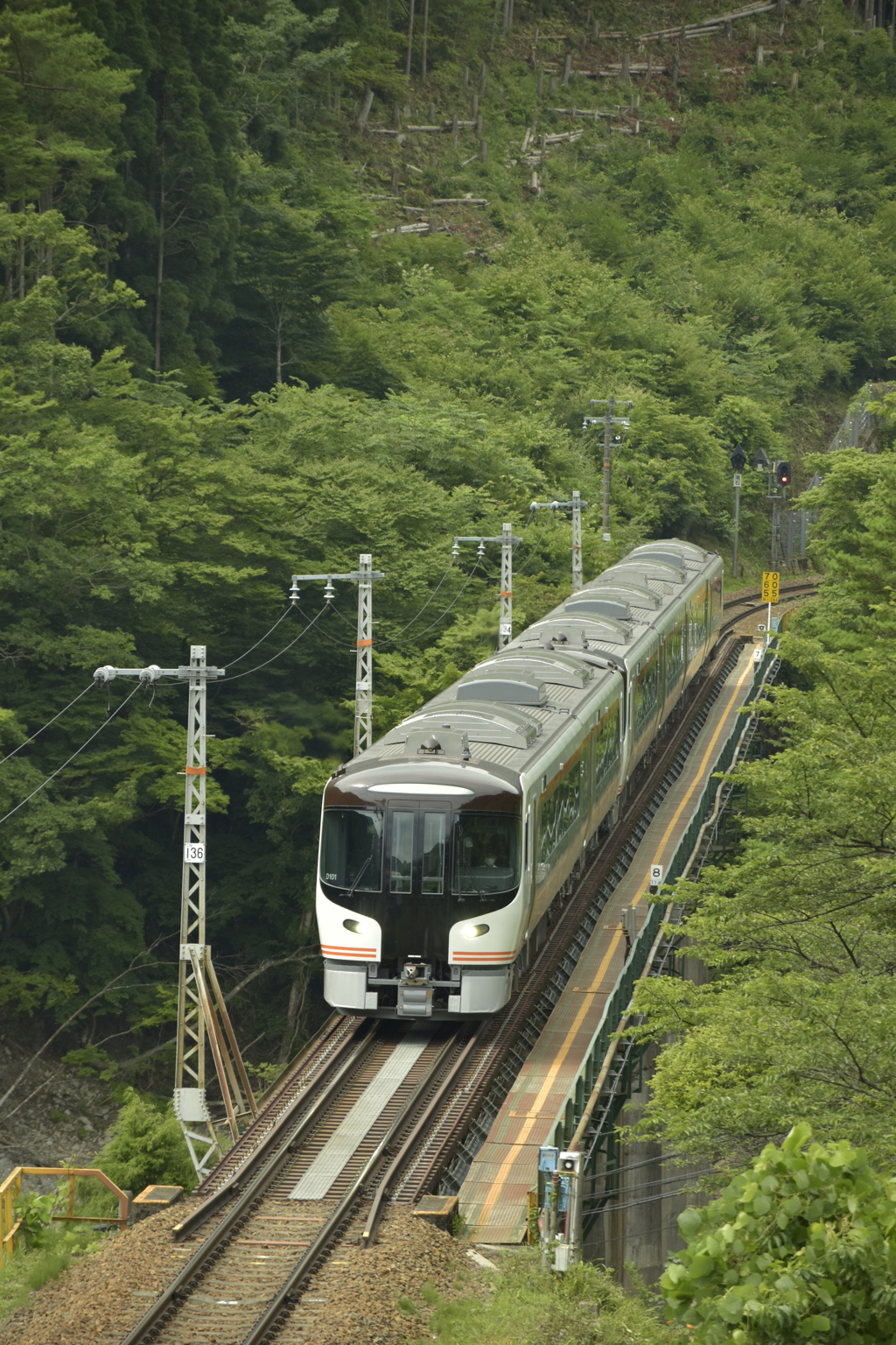 新車
