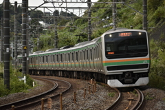 静岡県より栃木県へ