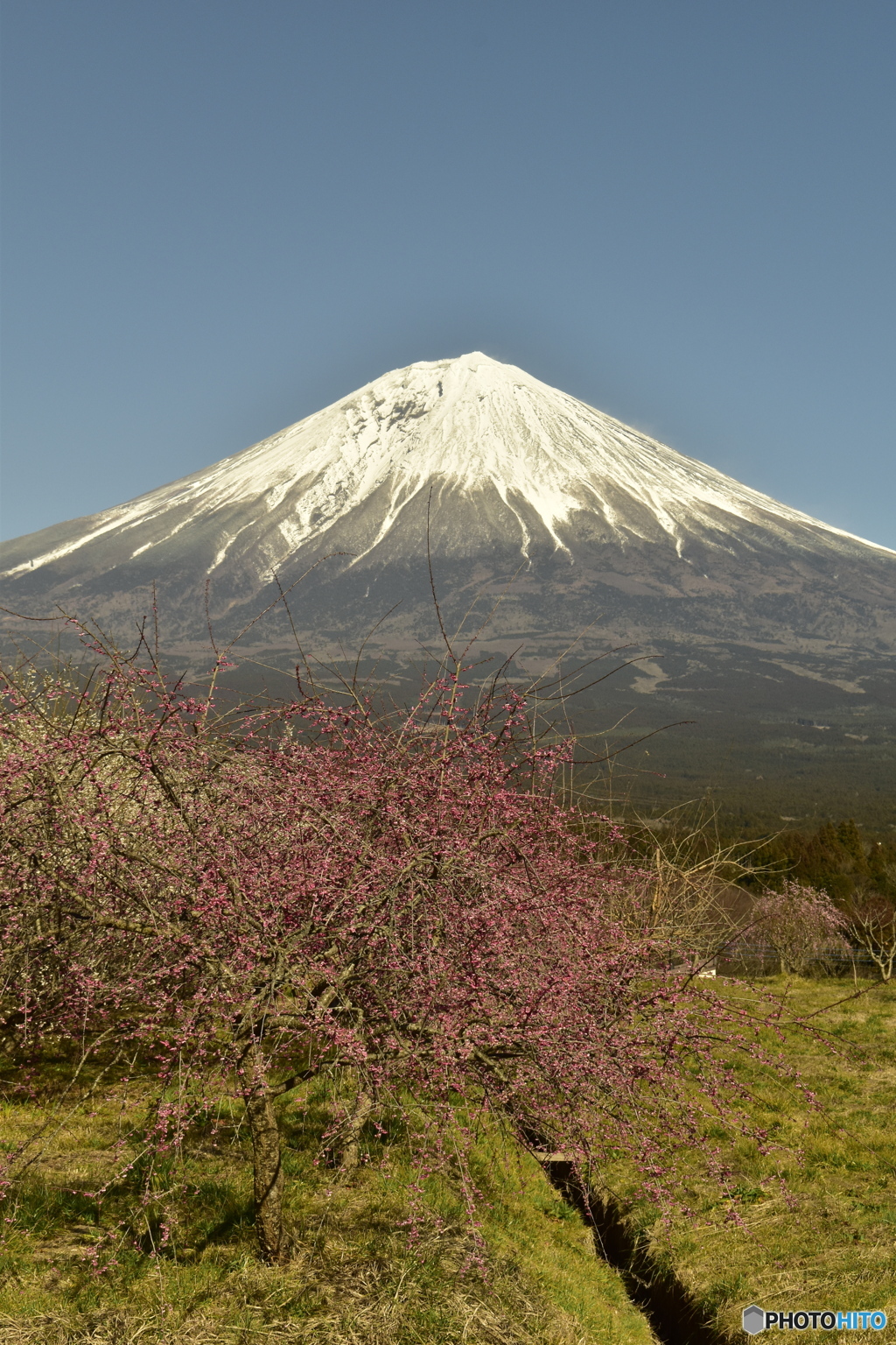 mt.Fuji
