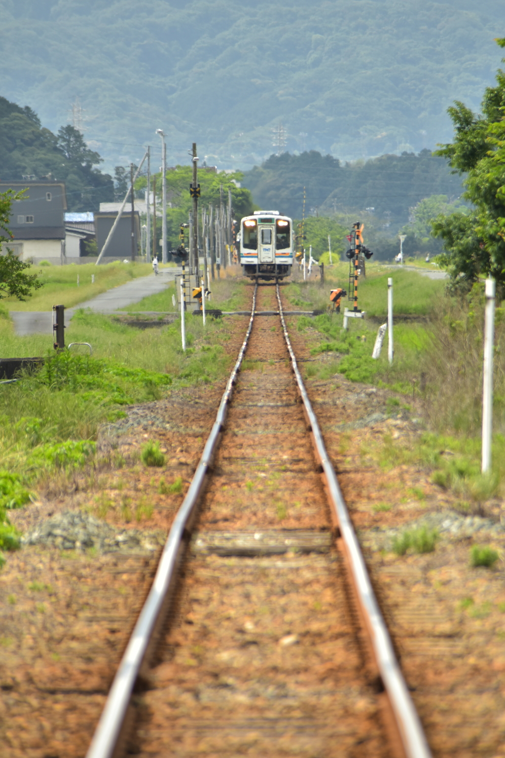 暫しの直線