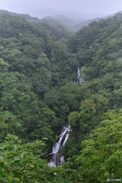 霧降の滝