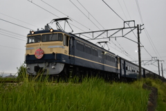 Forever EF65-501