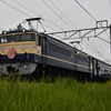 Forever EF65-501