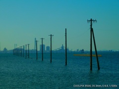 江川海岸の電線ロード