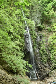 白糸の滝(小菅村)