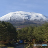 冠雪