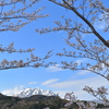 フォッサマグナの春