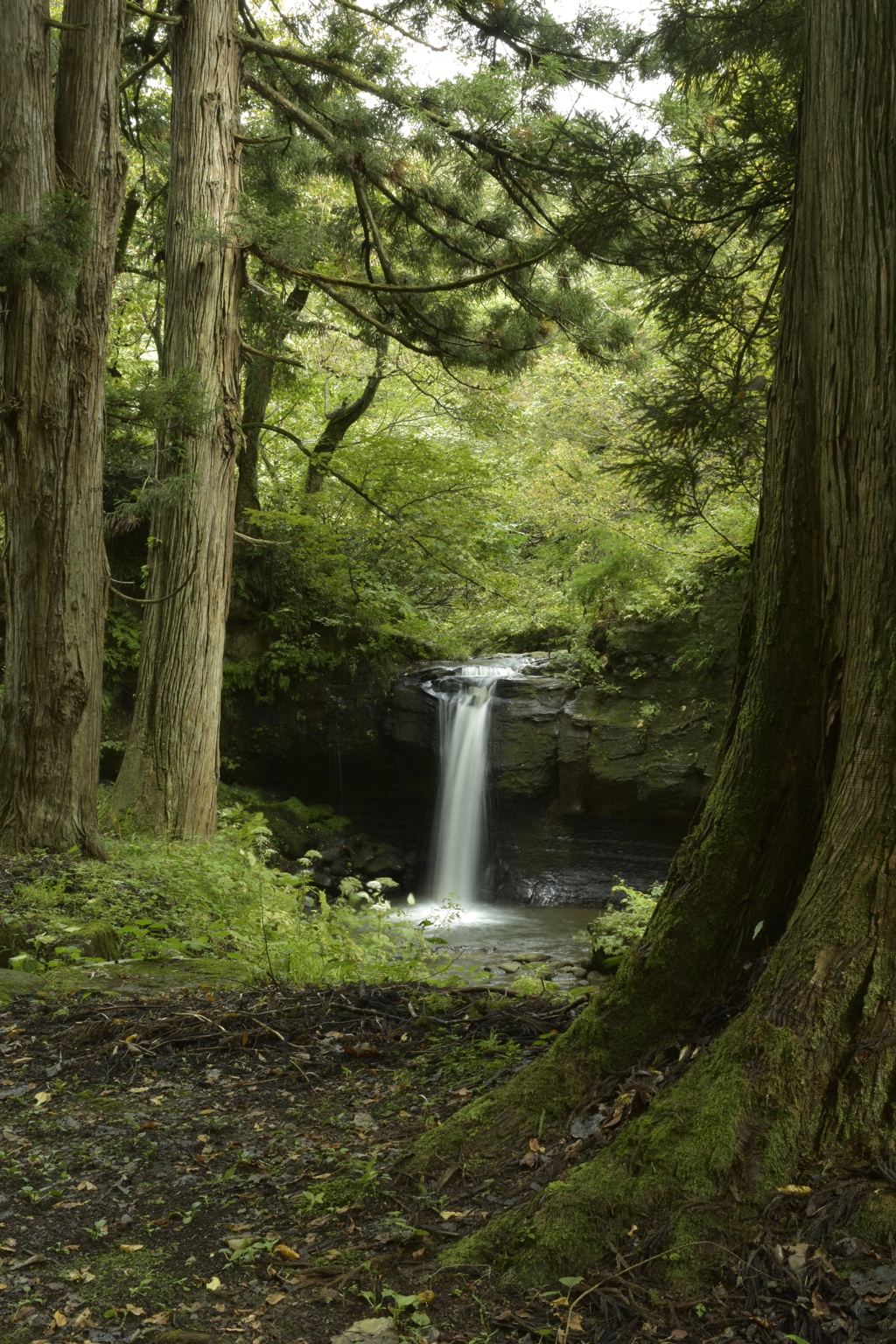 上中越滝巡り⑥板山不動滝