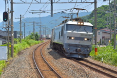 蛇の鉄路
