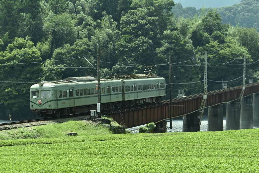 緑(列車)と緑(茶畑)と緑(自然)