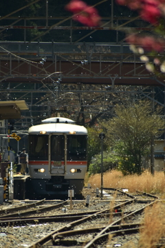 桜吹雪く駅