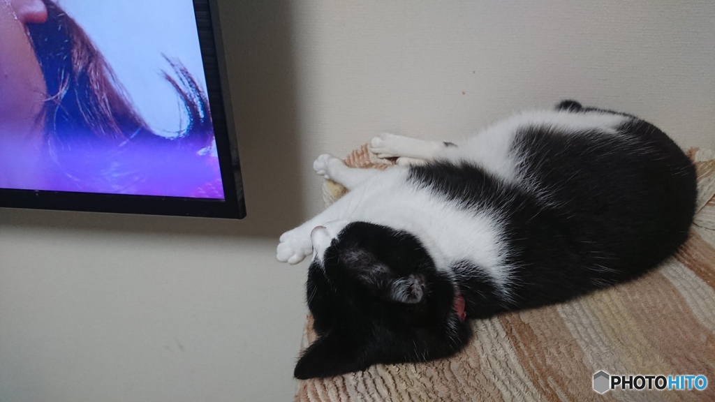 TV見てました,,,