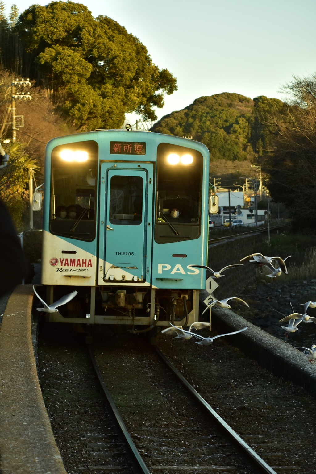 カモメの駅